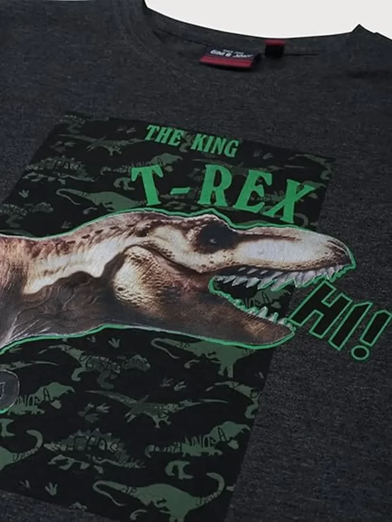 Gini & Jony Boy'S Printed Regular Fit T-Shirt