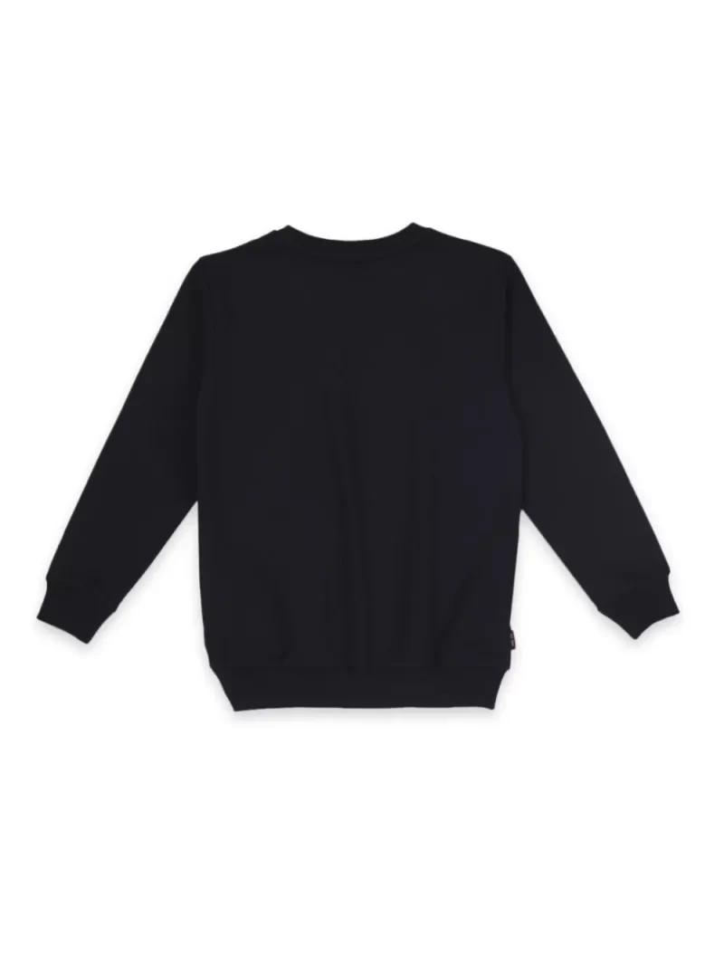 Boys Blue Cotton Printed Sweatshirt