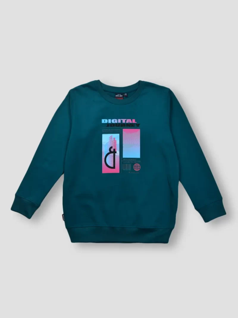 Gini And Jony Boys Teal Graphic Print Cotton Sweat Shirt Full Sleeves