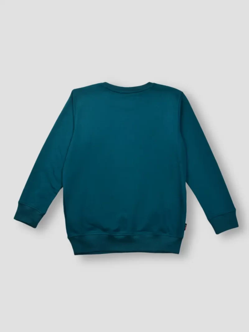 Gini And Jony Boys Teal Graphic Print Cotton Sweat Shirt Full Sleeves