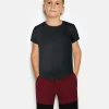 Gini And Jony Boys Maroon Colour Block Cotton Bermuda Elasticated