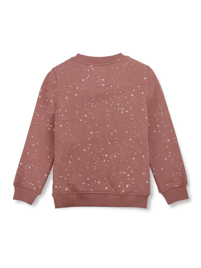 Boys Blue Cotton Printed Sweatshirt