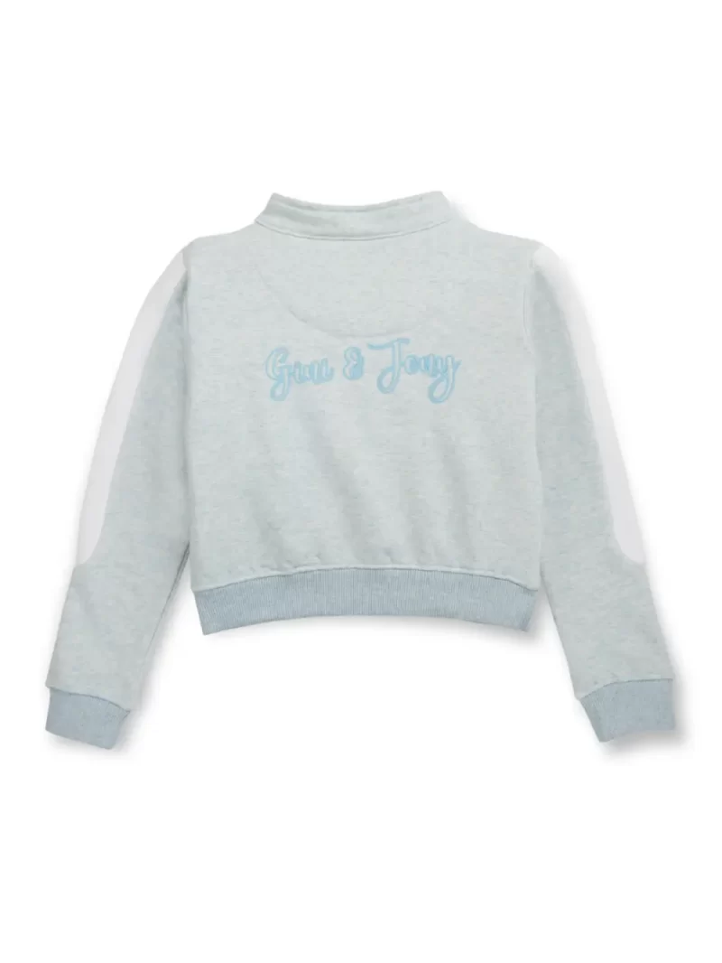 Boys Blue Cotton Printed Sweatshirt