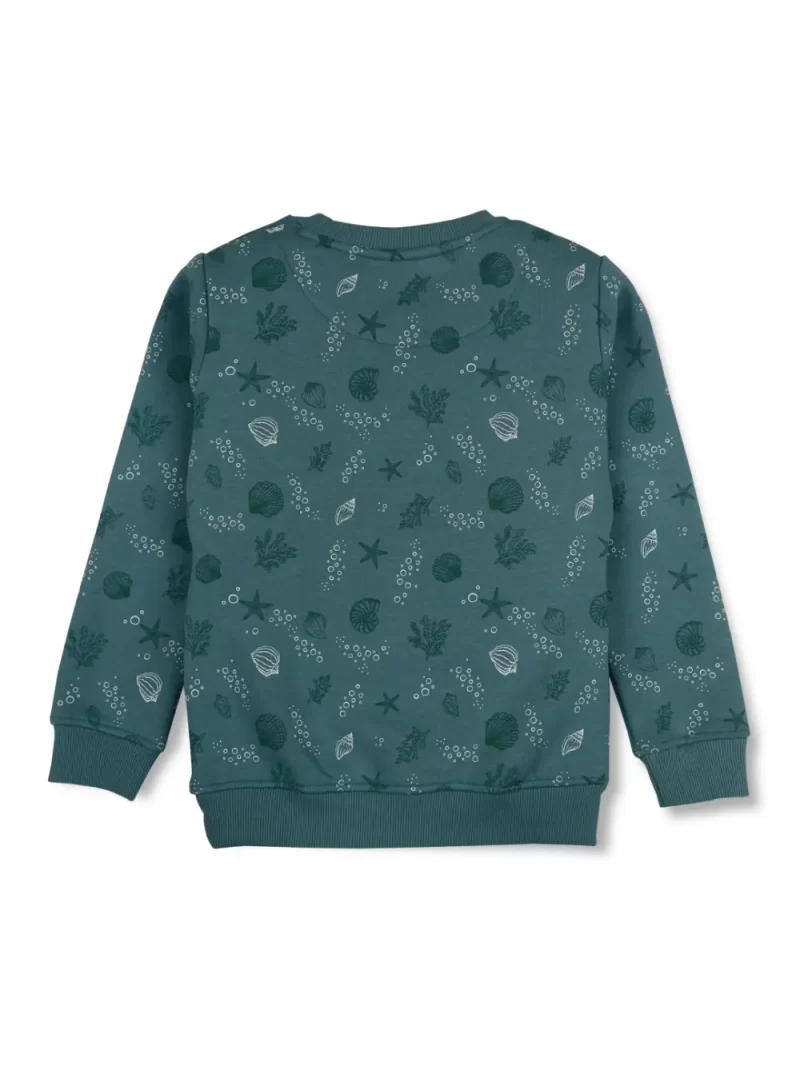Boys Blue Cotton Printed Sweatshirt