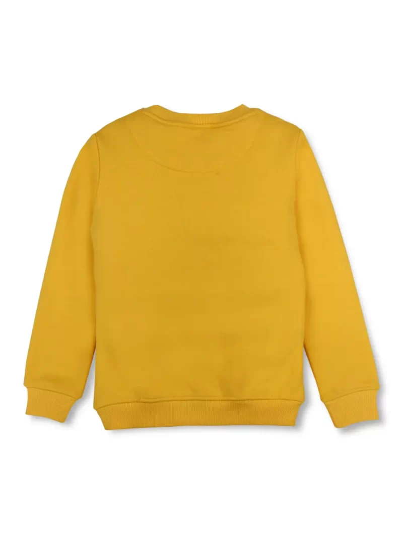 Boys Blue Cotton Printed Sweatshirt