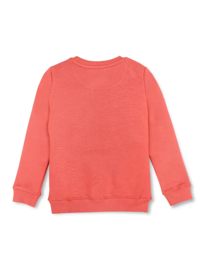 Boys Blue Cotton Printed Sweatshirt