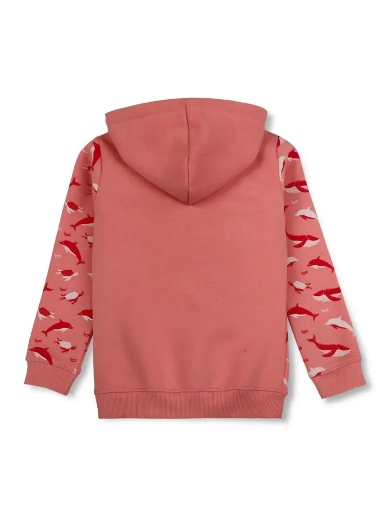 Boys Blue Cotton Printed Sweatshirt