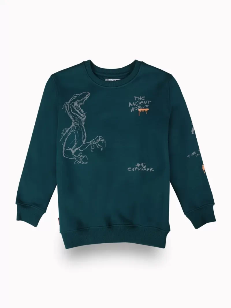 Gini And Jony Boys Teal Graphic Print Cotton Sweat Shirt Full Sleeves