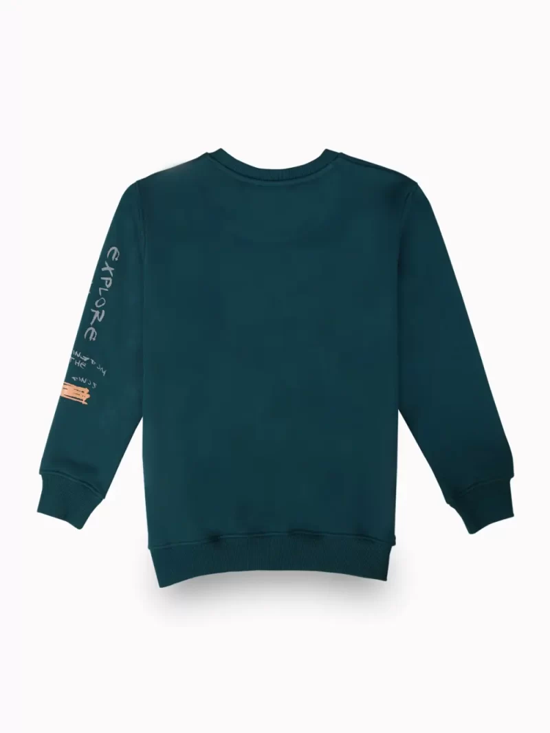 Gini And Jony Boys Teal Graphic Print Cotton Sweat Shirt Full Sleeves