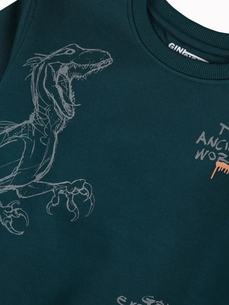 Gini And Jony Boys Teal Graphic Print Cotton Sweat Shirt Full Sleeves