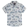 Gini And Jony Boys Solid Cotton Shirt