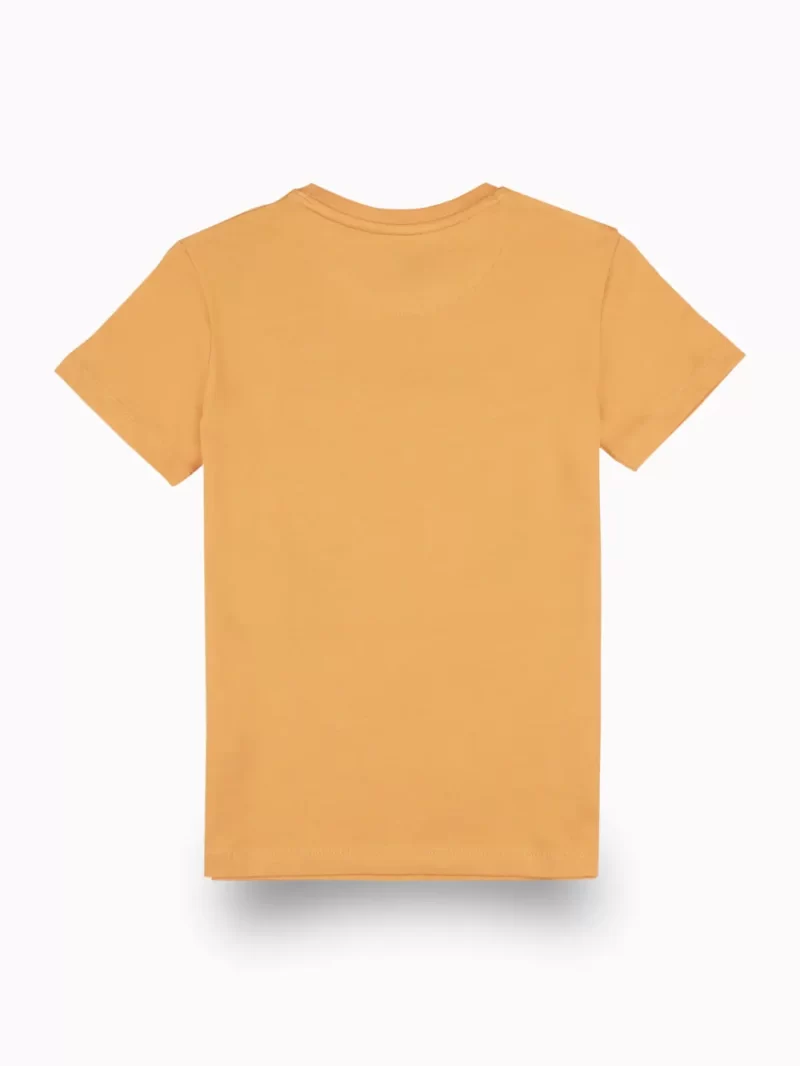 Gini And Jony Boys Orange Graphic Print Cotton T-Shirt Half Sleeves