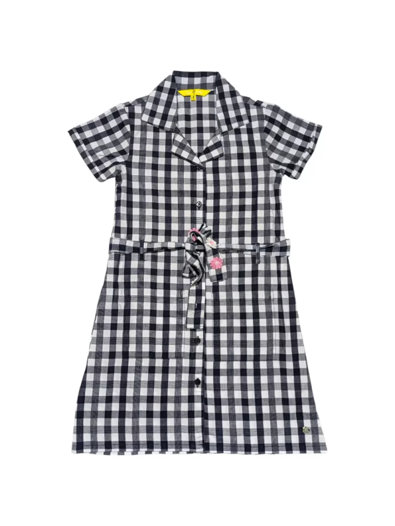 Gini And Jony Girls Blue Checks Cotton Dress Half Sleeves