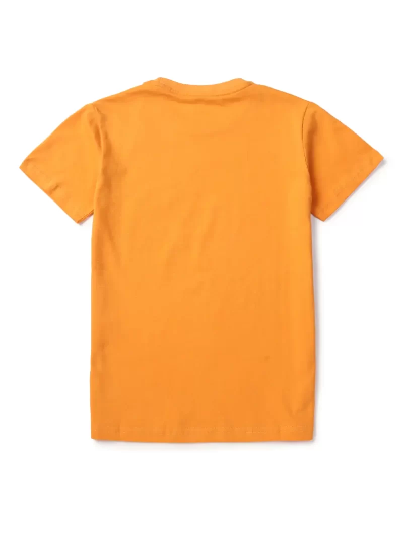 Boys T-Shirt Half Sleeves