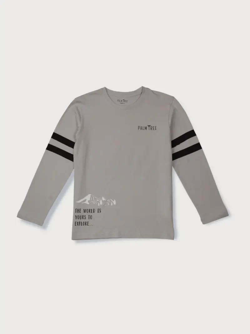 Palm Tree Boys Grey Printed Knits T-Shirt Full Sleeves