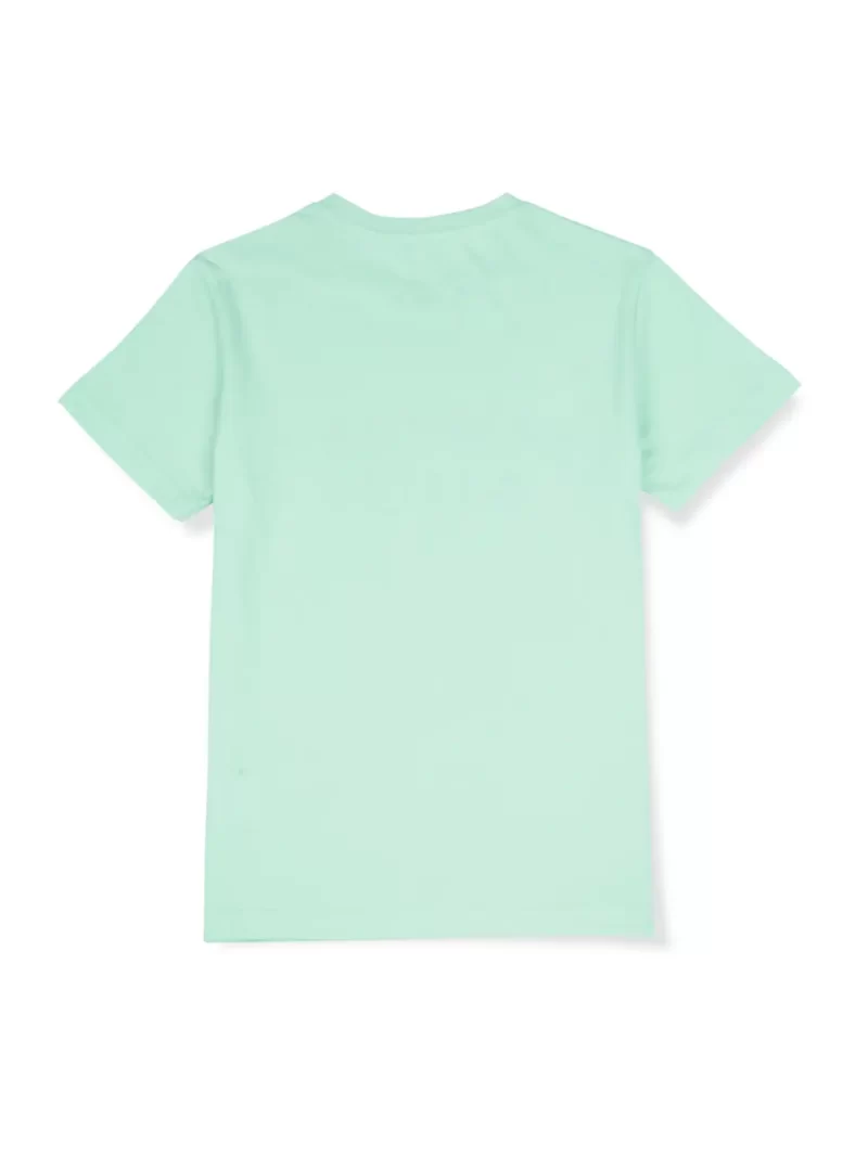 Palm Tree Boys Green Solid Cotton Half Sleeves T-Shirt