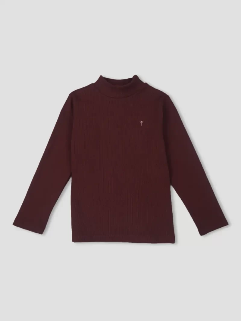 Palm Tree Girls Maroon Solid Cotton Skivvy Full Sleeves 13-14 Years