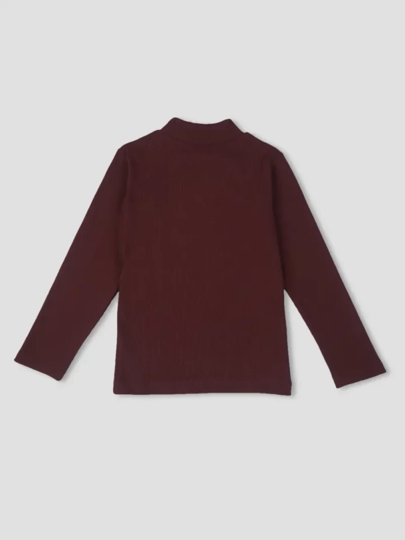 Palm Tree Girls Maroon Solid Cotton Skivvy Full Sleeves 13-14 Years