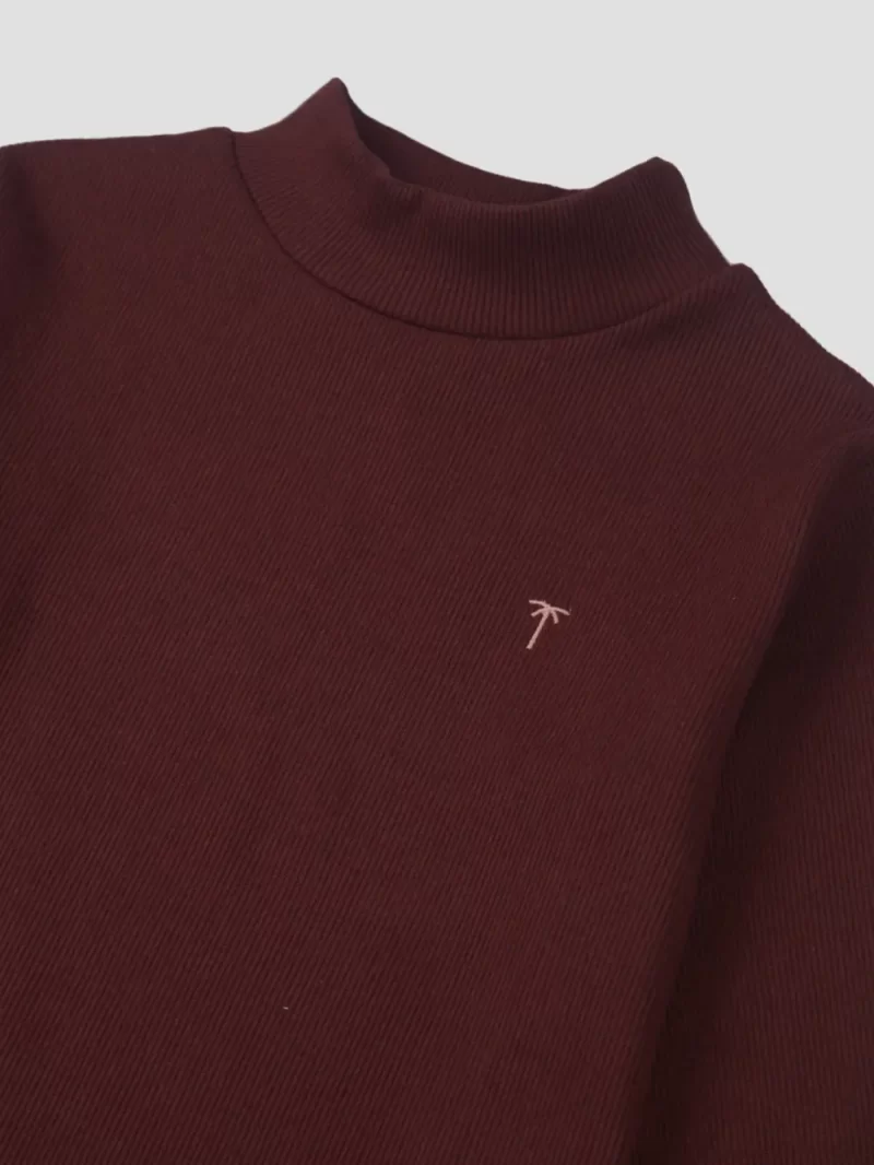 Palm Tree Girls Maroon Solid Cotton Skivvy Full Sleeves 13-14 Years