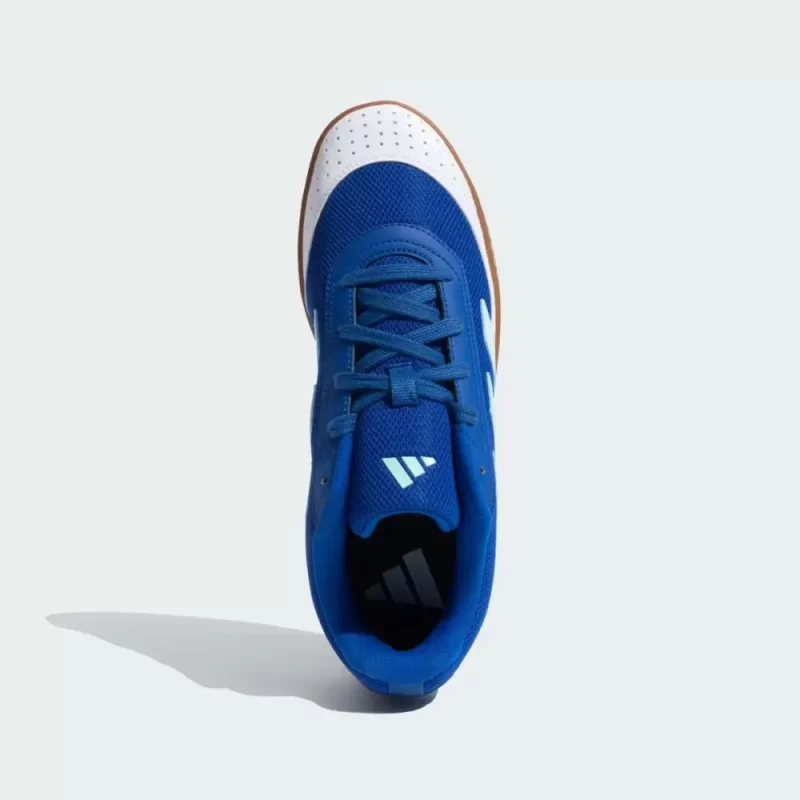 Pivot Court M