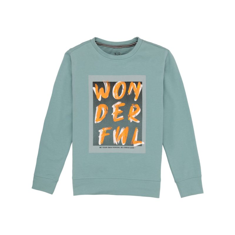 Boys Printed Lightweight Sweatshirt