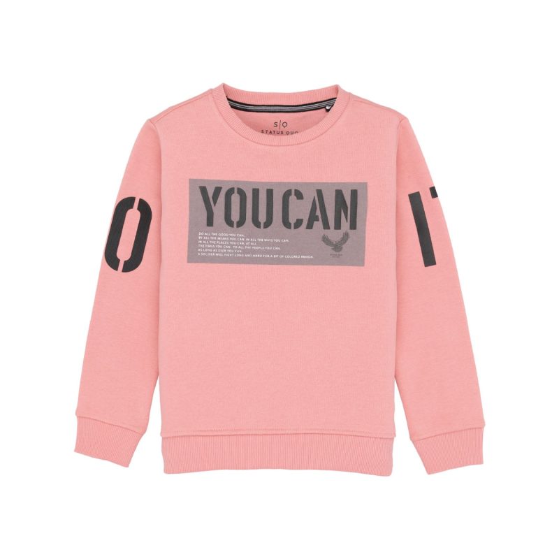 Boys Printed Hooded Sweatshirt