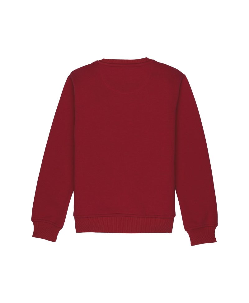 Boys Mix & Match Round Neck Sweatshirt