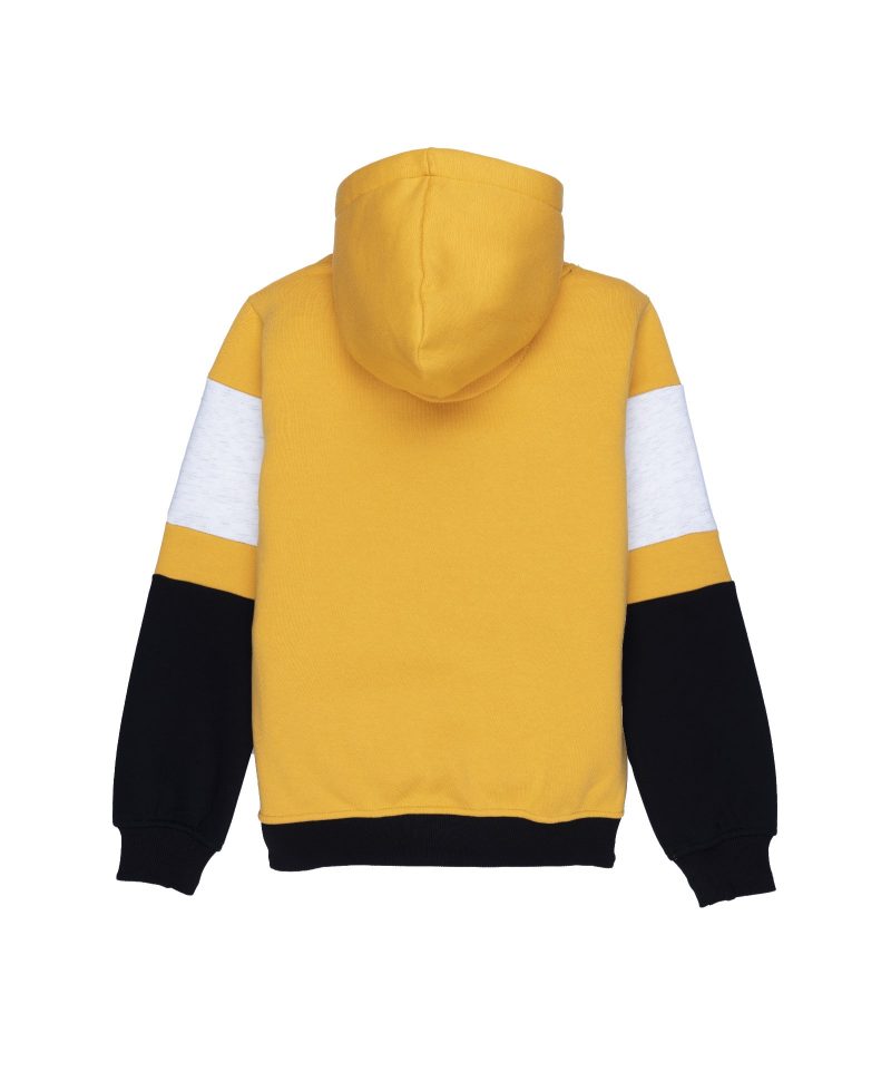 Boys Colour Blocking Hooded Sweatshirt