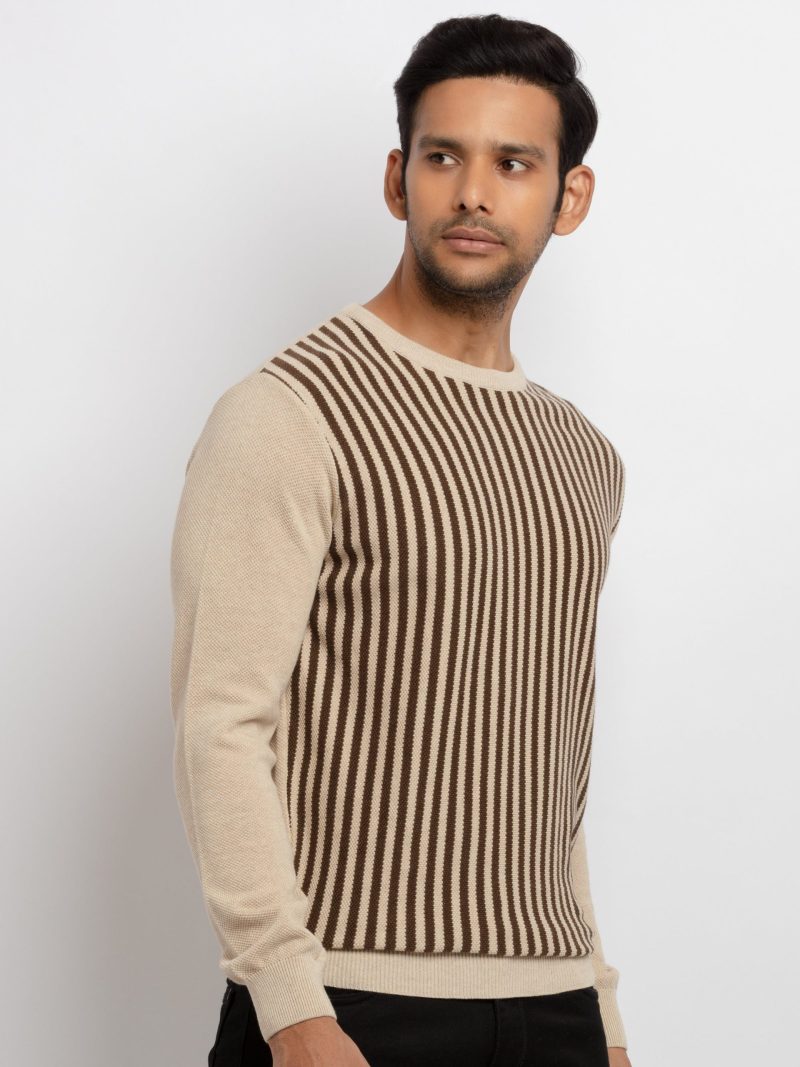 Mens Striped Round Neck Sweater