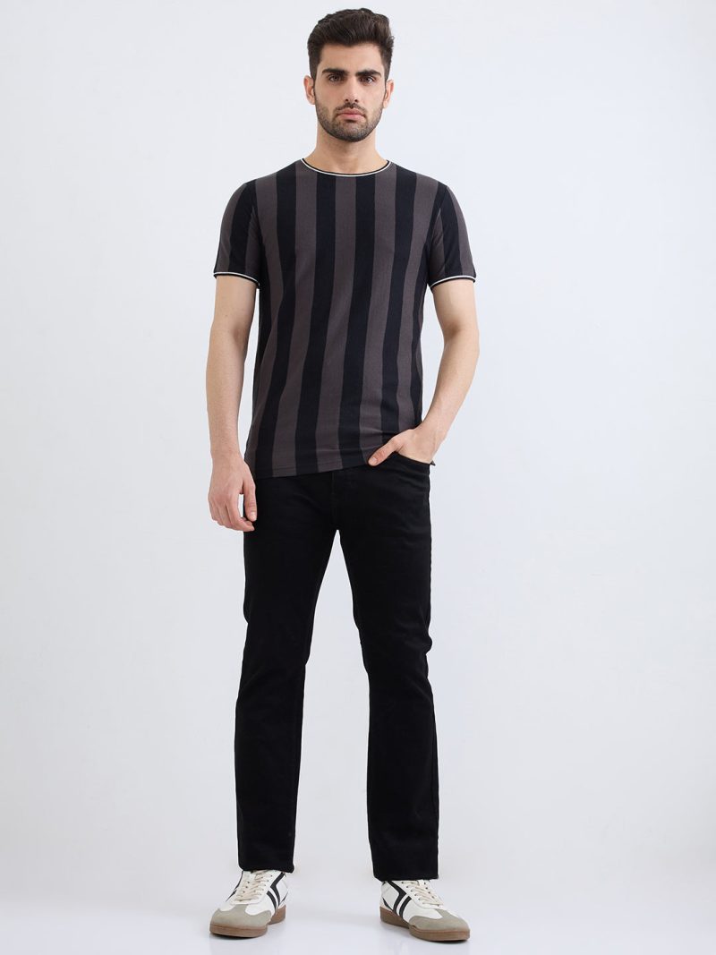 Status Quo Men'S Striped Half Sleeves Round Neck Regular Fit Tshirt