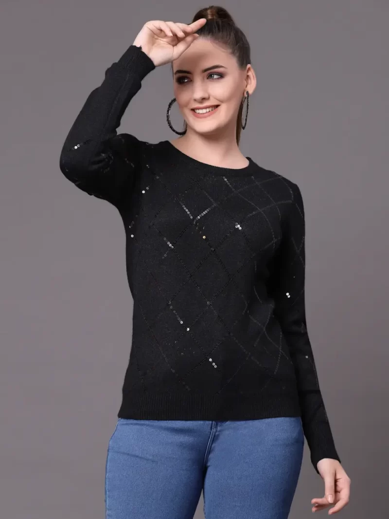 Women Embroidered Pullover With Embellished Top