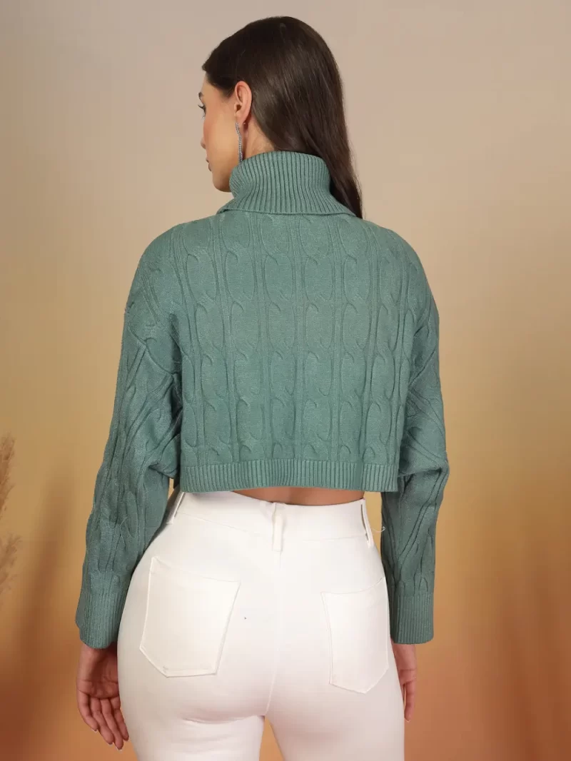 Cable Knit Turtle Neck Crop Pullover