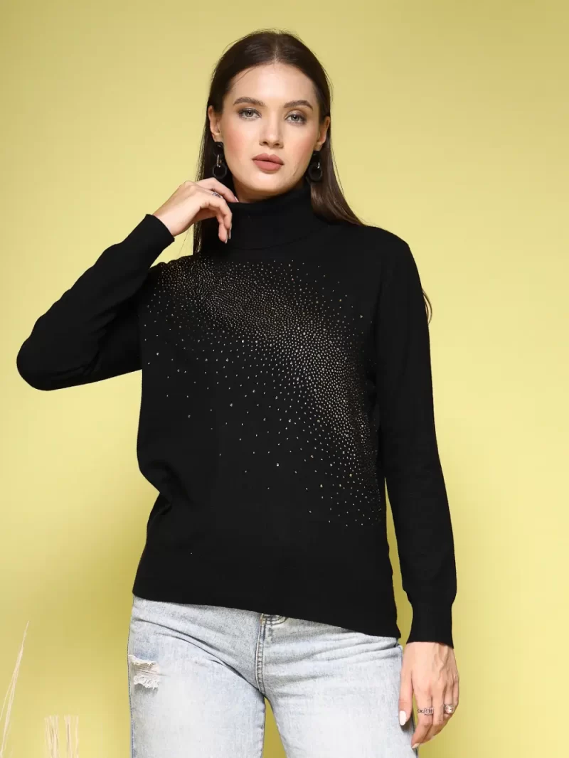 Women Solid High Neck Top