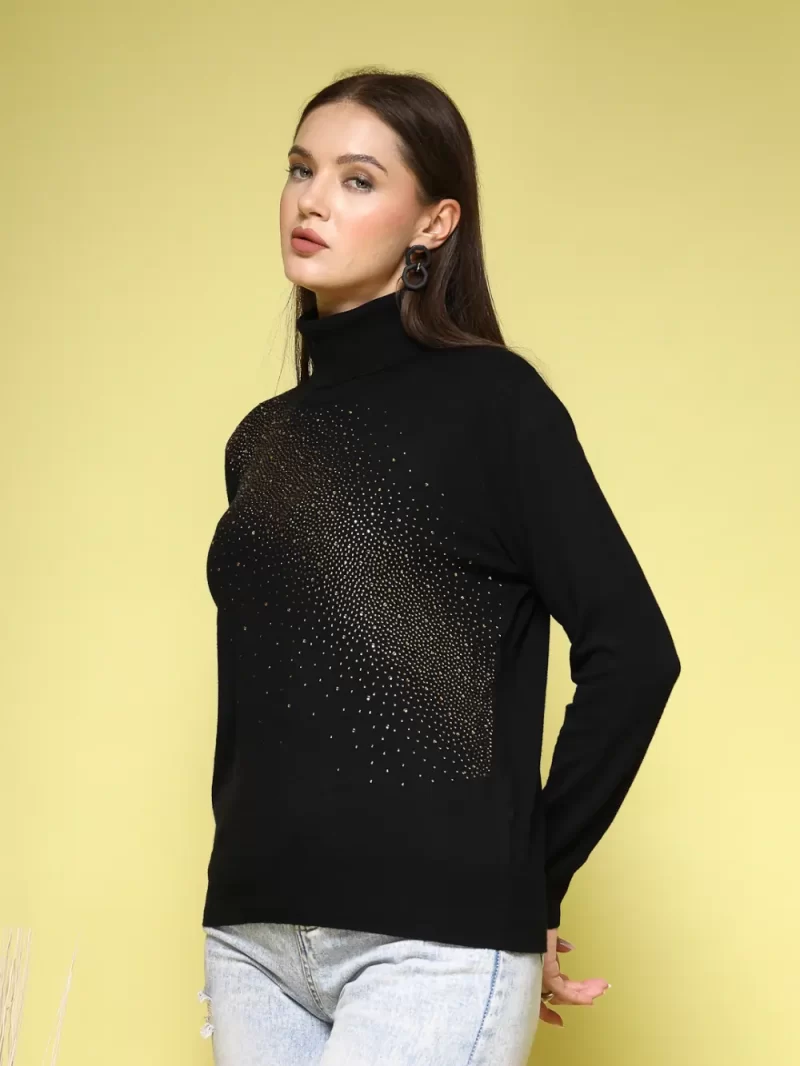 Women Solid High Neck Top