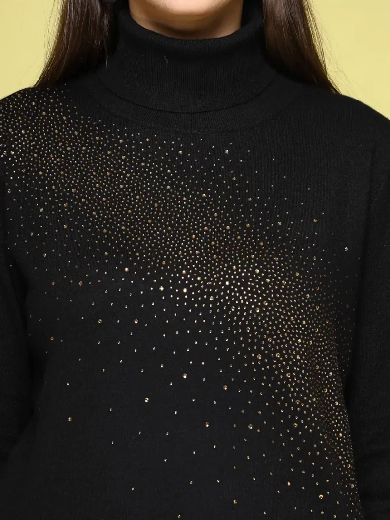 Women Solid High Neck Top