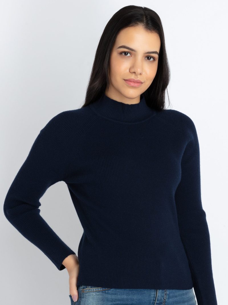 Womens Solid Turtle Neck Sweater