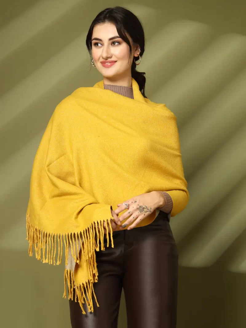 Women Solid Fringed Broder Stole