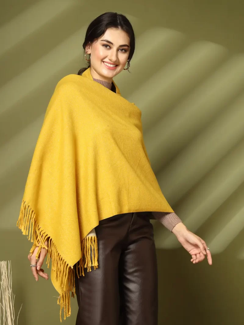 Women Solid Fringed Broder Stole