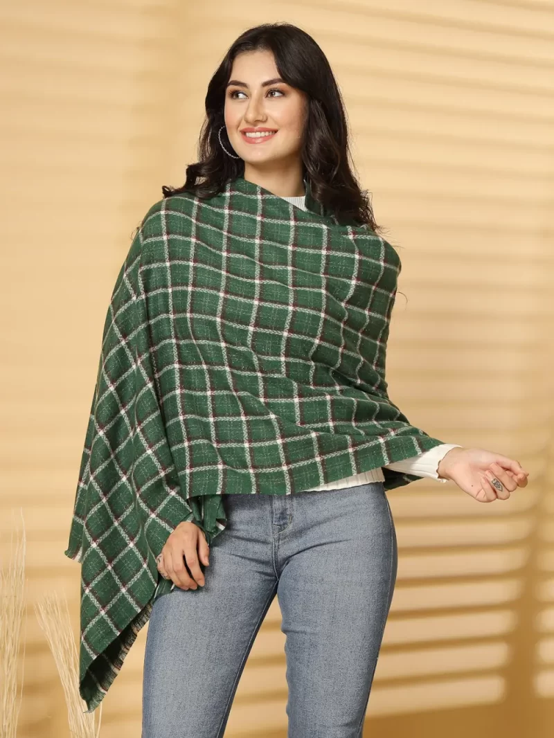 Women Woven Design Checked Stole