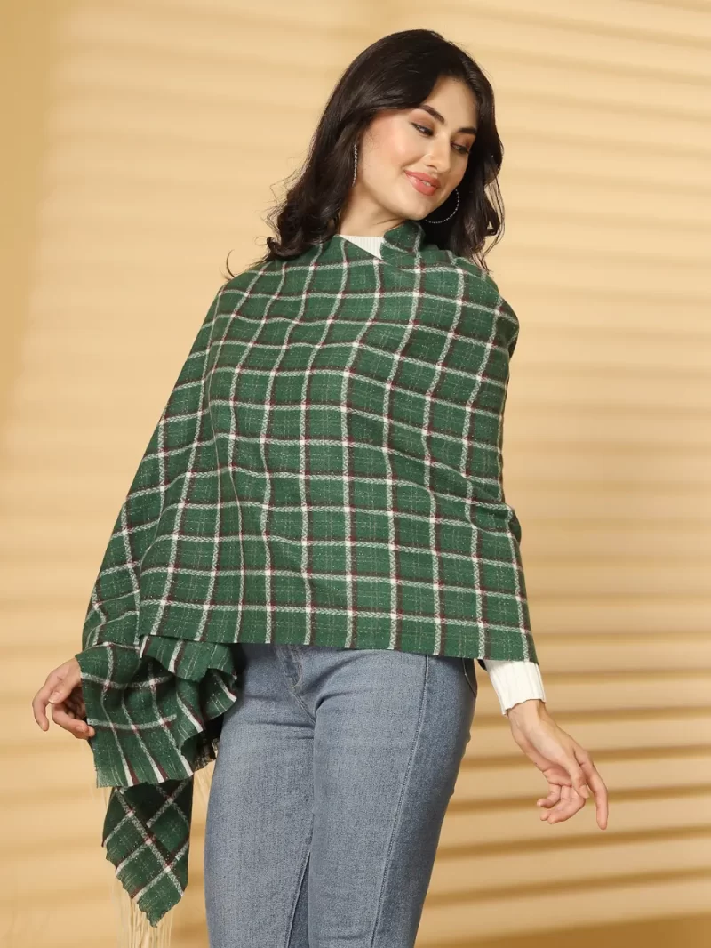Women Woven Design Checked Stole
