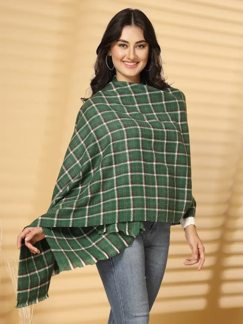 Women Woven Design Checked Stole