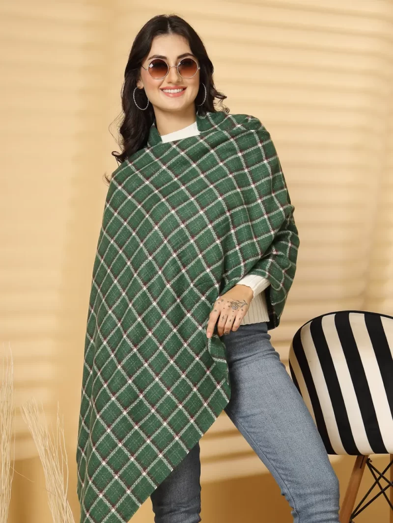 Women Woven Design Checked Stole