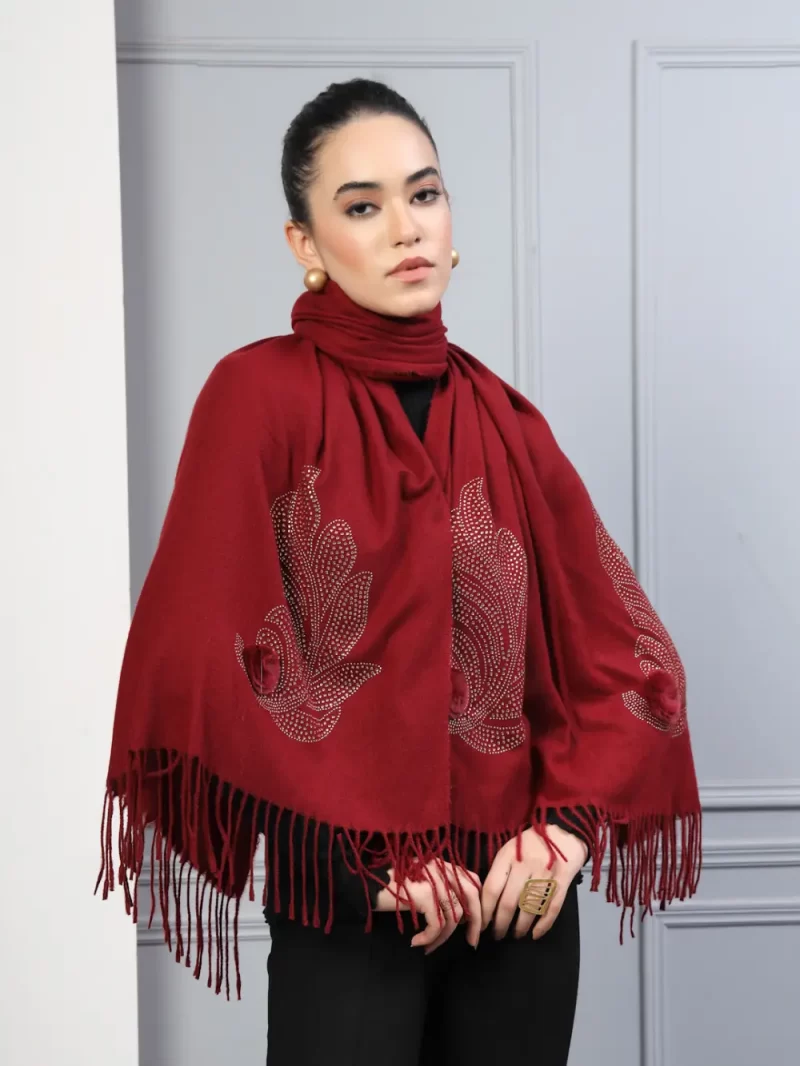 Women Embroidered Stole