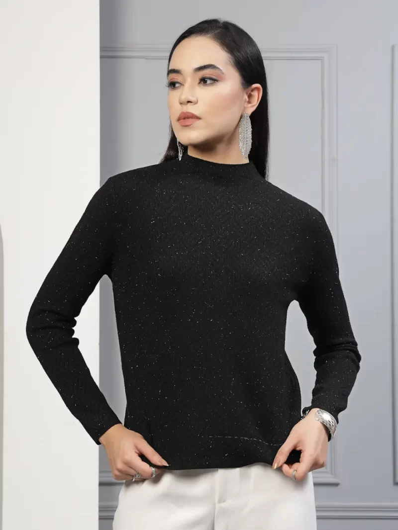 Women Self Design High Neck Long Sleeves Top