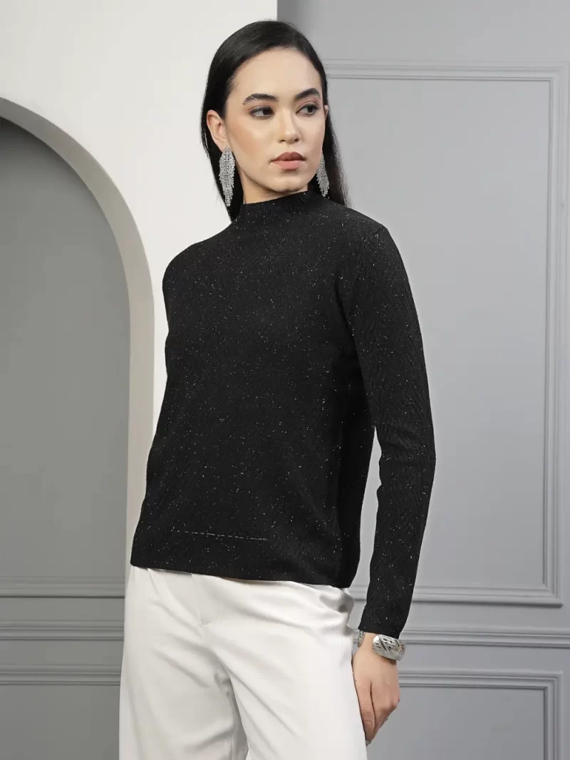 Women Self Design High Neck Long Sleeves Top