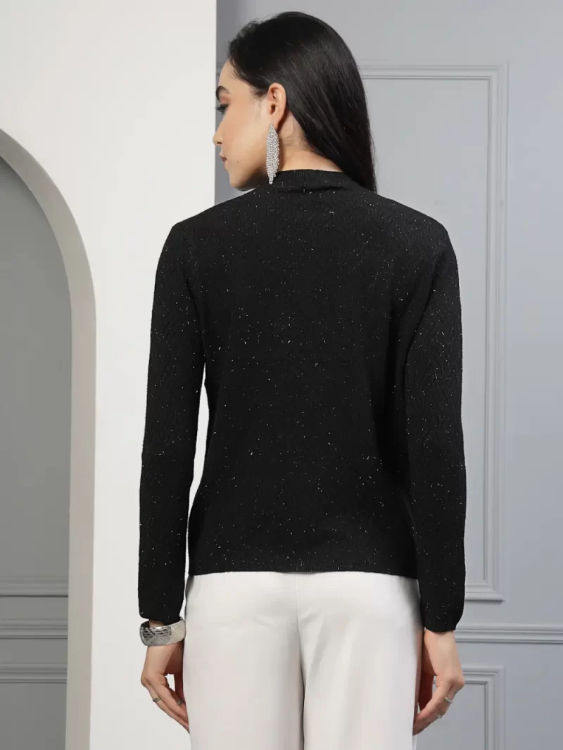 Women Self Design High Neck Long Sleeves Top