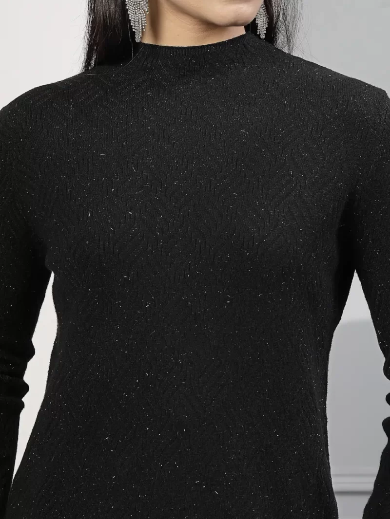 Women Self Design High Neck Long Sleeves Top