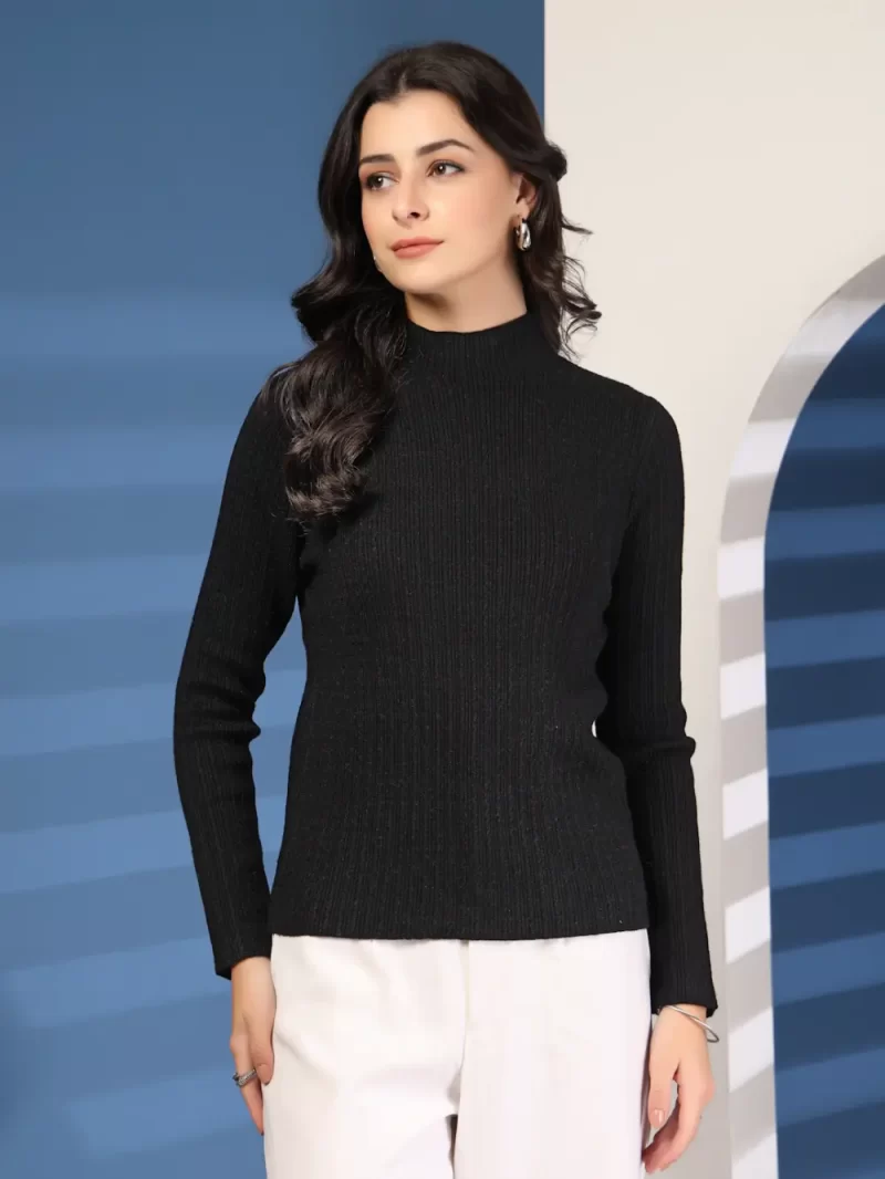 Women Self Design High Neck Regular Top