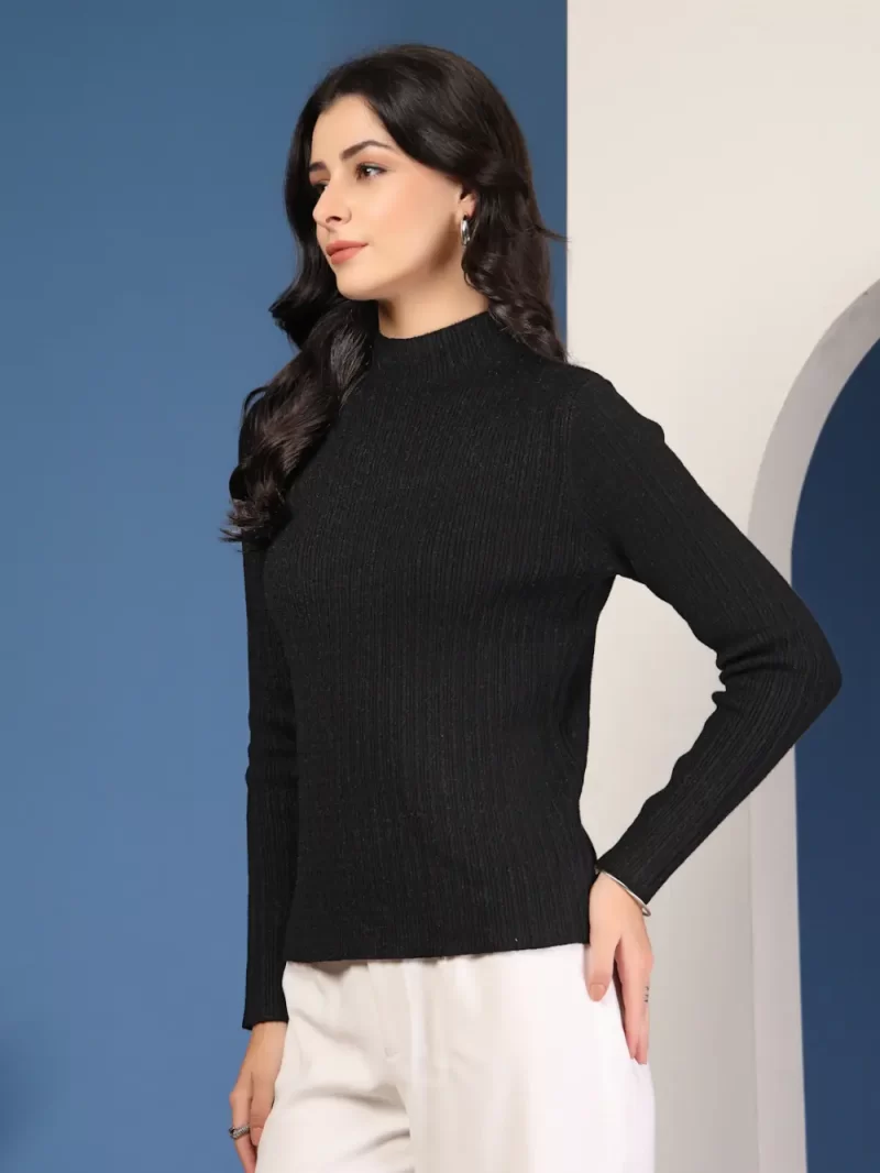 Women Self Design High Neck Regular Top