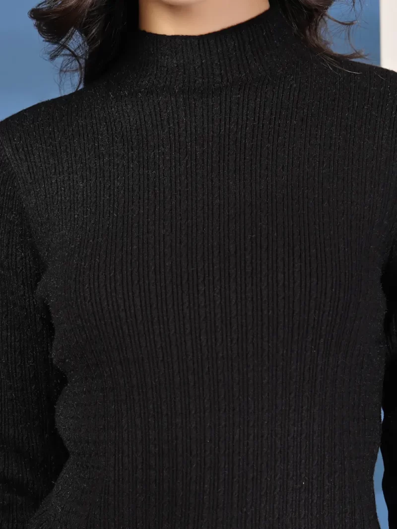 Women Self Design High Neck Regular Top